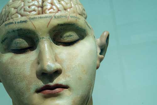 brain-statue